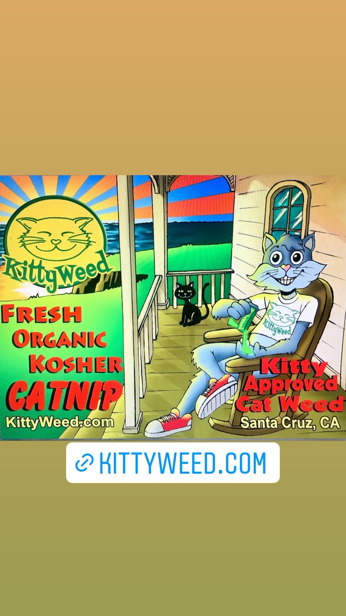 kittyweedcatnip's tweet image. Happy Purr20 Kitties! Meowza!!! 😽🙀😺😹😻 #purr20 #420day #cats #CatsOfTwitter #CatsOnTwitter #catnip #cattoy #organic #handmade #hemp #fun #play #giftforcat #giftforcatlover #unique #SantaCruz #california