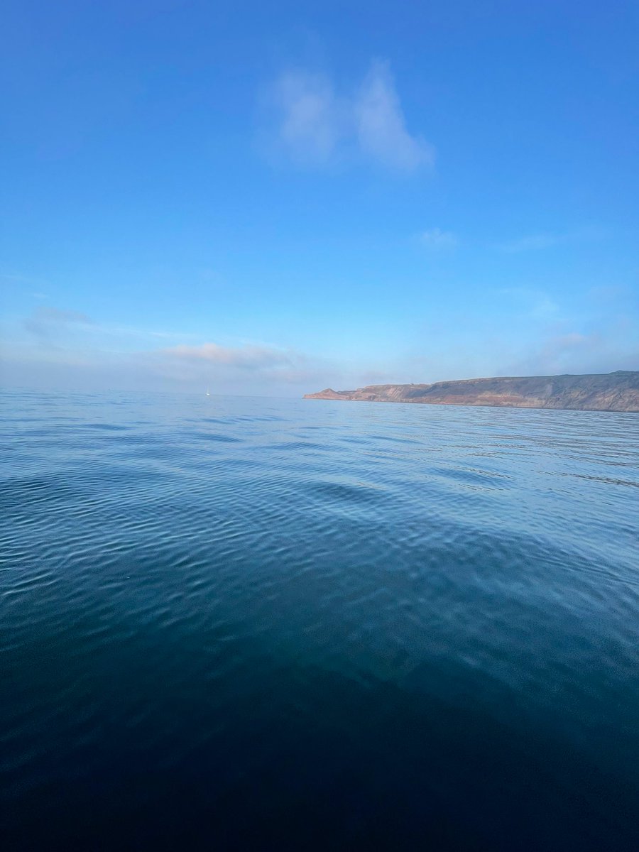 Jo Moseley tweet media