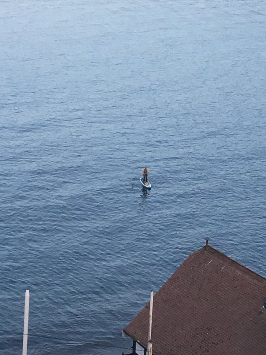 Jo Moseley tweet media