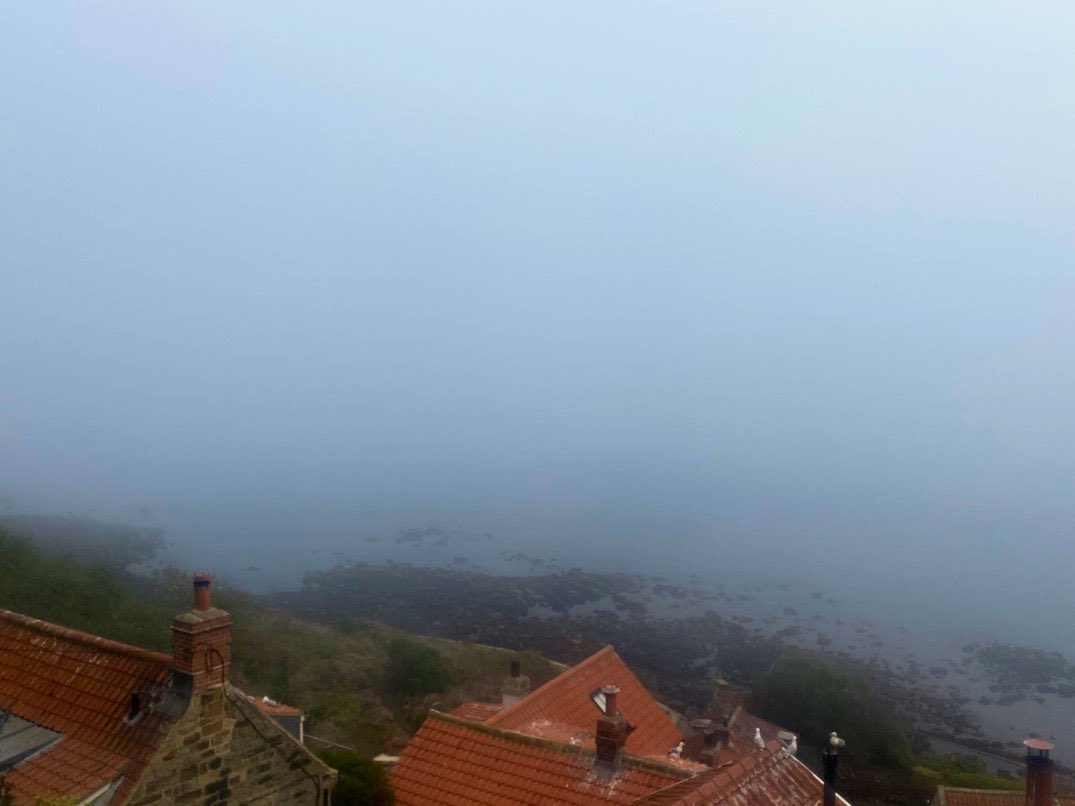 Jo Moseley tweet media