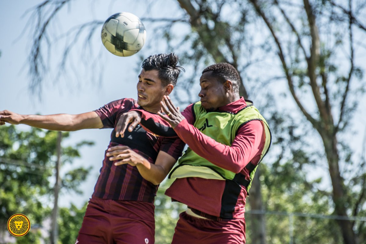 LeonesNegrosCF's tweet photo. Nos estamos preparando para rugir en la liguilla. 

👏💪🖤 #VAMO2L3ONES 🦁🔜 https://t.co/jZGgHQD9Da