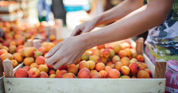 MangoPublishing's tweet photo. Lessons From Apricots shared by @ericmaisel, author of Redesign Your Mind, on the @GoodMenProject:
https://t.co/n5b5JxluGe
#EricMaisel #RedesignYourMind #apricots #lessons #principles #learning #writers #wisdom #mistakes #learning #success https://t.co/AezWhrv1Lc