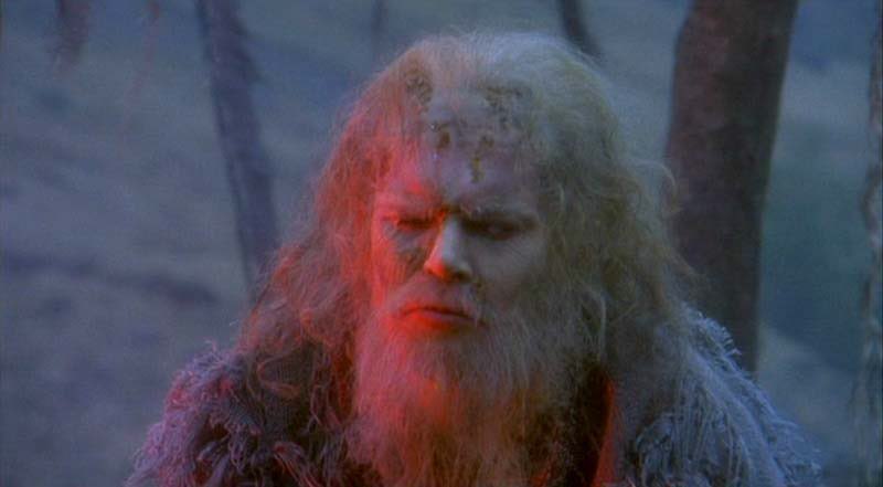 Harrison Chute tweet media