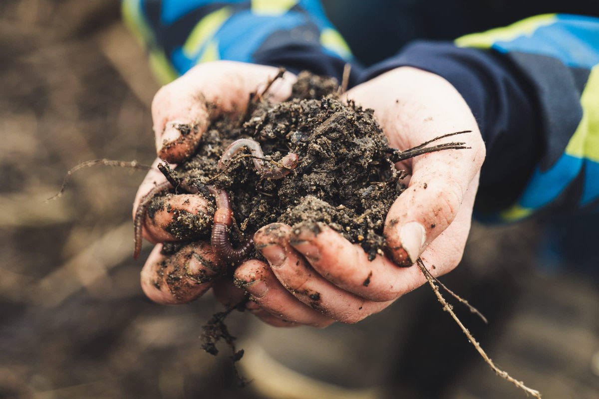 We all need to invest in our soils. It’s #cdnsoilweek22 and we’re supporting our partners in sharing how #CdnAg can be part of a solution to manage climate change. Among the first steps—holding more carbon in our managed soils. loom.ly/1E5xWeE 
<a href="/soilcouncil/">Soil Conservation Council of Canada</a> @compostcanada
