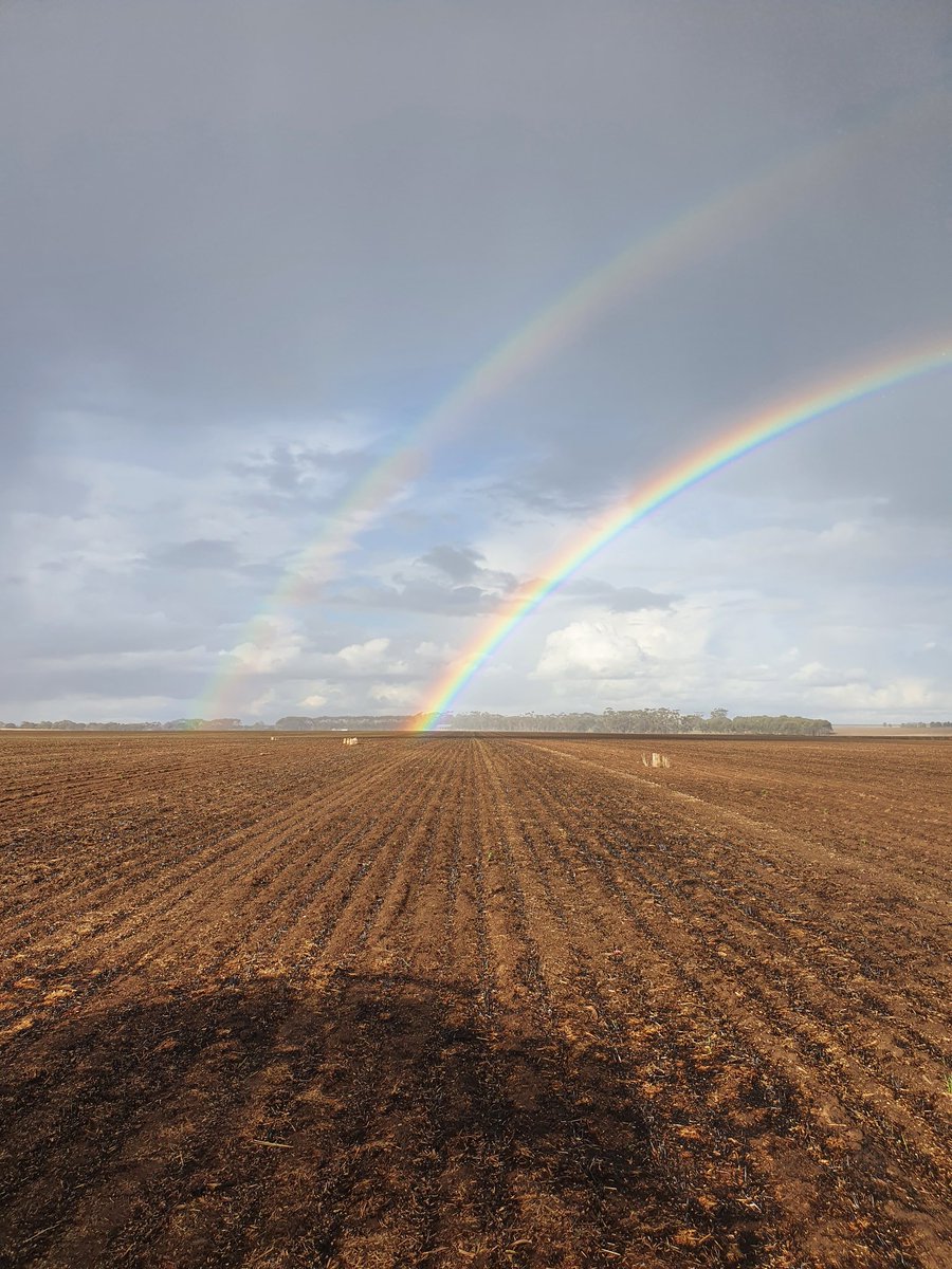 Bridget Close tweet media