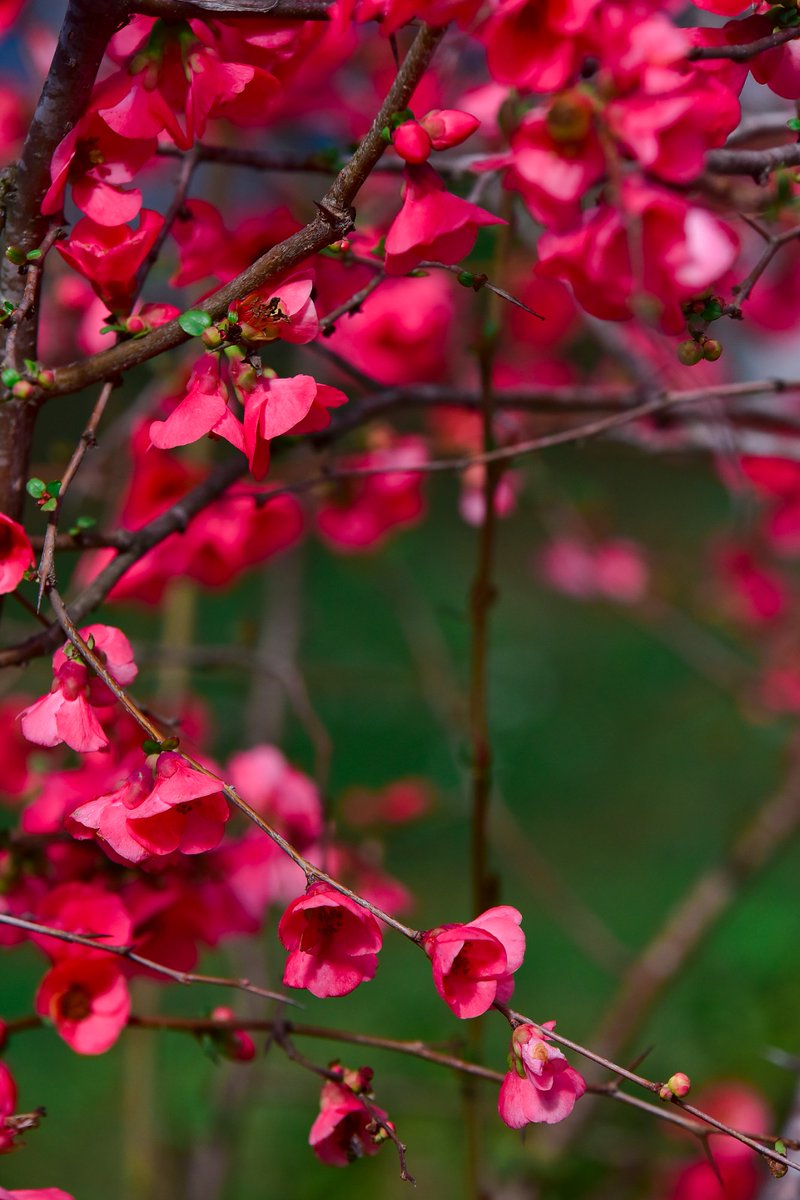 "Hıdırellez Kültür ve Bahar Bayramı" Kutlu Olsun 🌿💐🌼

#Hıdırellez 
#HıdırellezBayramı 

<a href="/DrErdincYILMAZ1/">Dr. Erdinç YILMAZ🇹🇷</a>