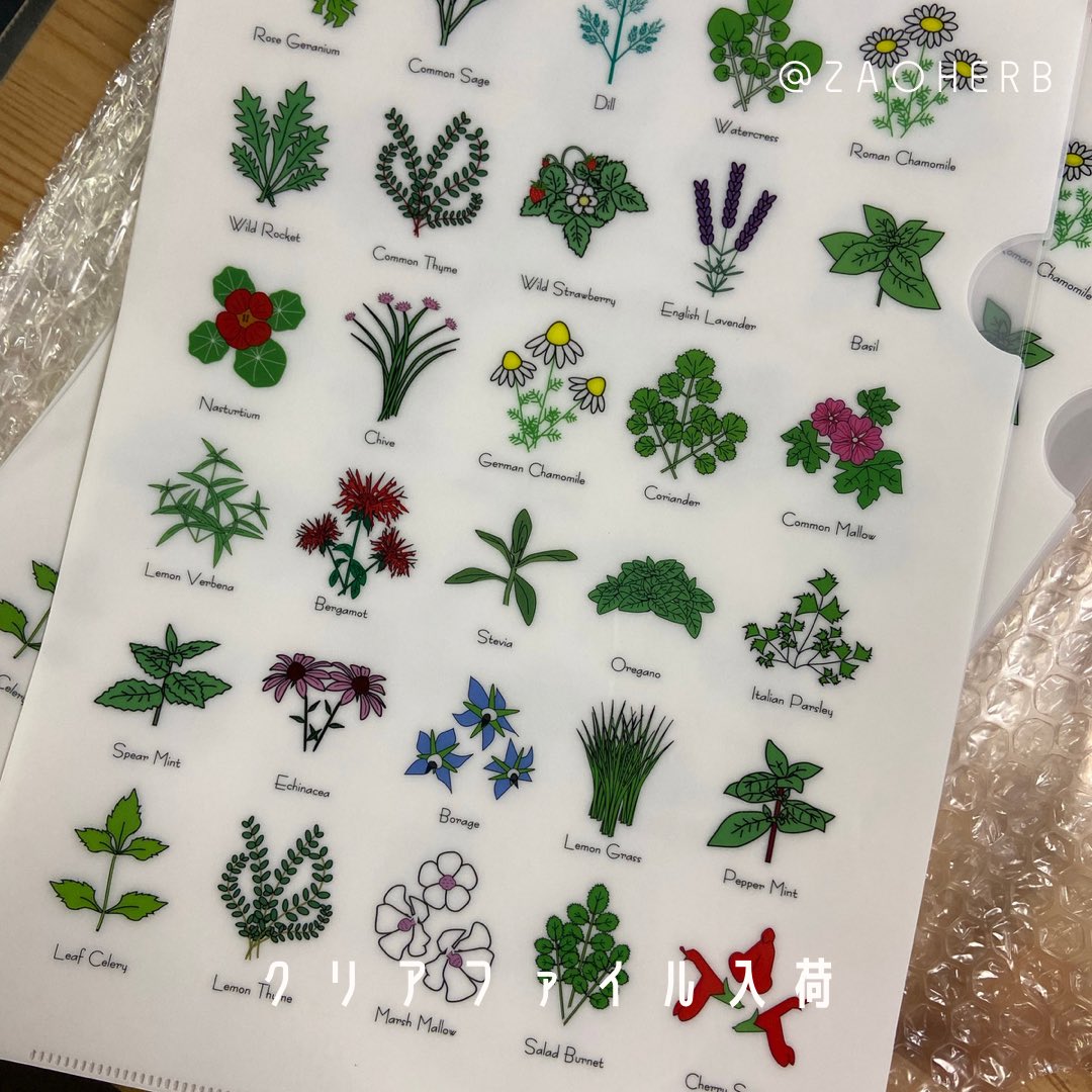 ハーブイラスト Twitter Search Twitter
