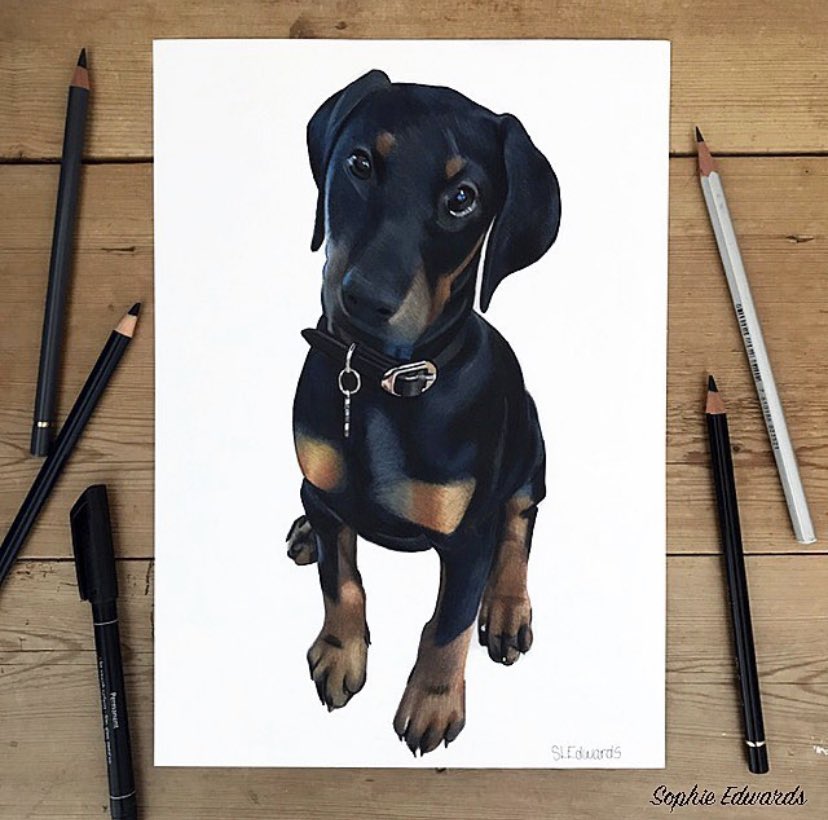 creative_a_r_t's tweet photo. I am booking in orders for commission drawings. Get in touch for details ✏️✍🏻 
📧sophieedwardsart@hotmail.com
https://t.co/FibHLpez0S https://t.co/x4pWQJ4p5p