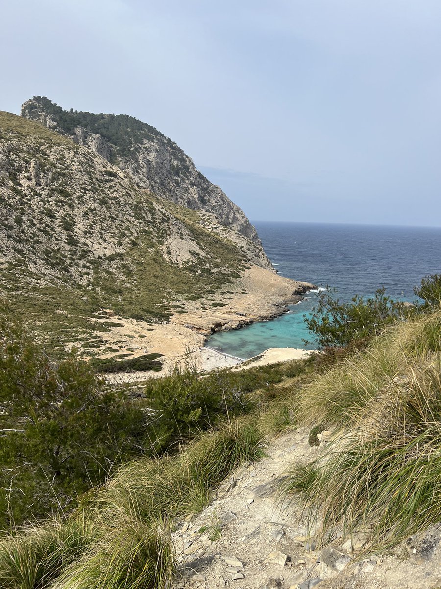 moffat55's tweet photo. Mallorca is a legend… rented this shwip for a day and absolutely cooked the tires 🏎. The water may look blue, but don’t let it fool you, she cold. I took a quick dip at Cala Murta to cleanse the soul, not sure it worked🙆‍♂️ https://t.co/LhyeK4kuAw