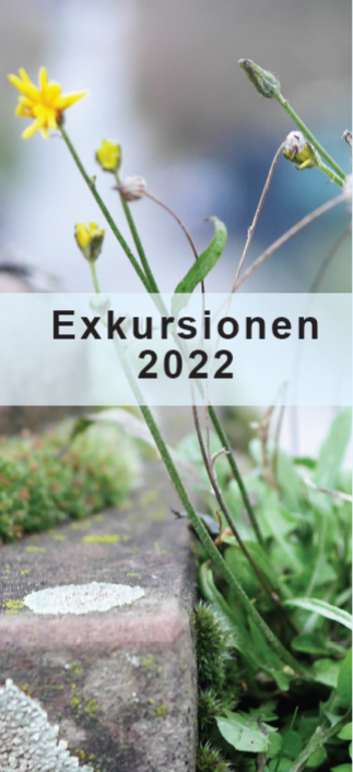 Sowohl die Mauerritzenexkursion, als auch die Eisensteiner Exkursion sind nun auch ausgebucht. Vielen Dank für das rege Interesse! Jetzt schnell noch für die restlichen Exkursionen anmelden und etwas über Stadtentwicklung, Renaturierung und die S-Bahn Rhein-Main erfahren!🧐