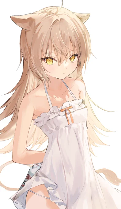 #るるどらいおん 