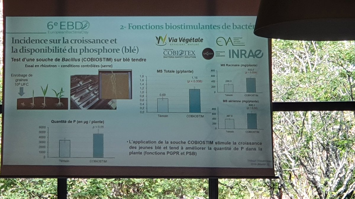 Via Vegetale tweet media