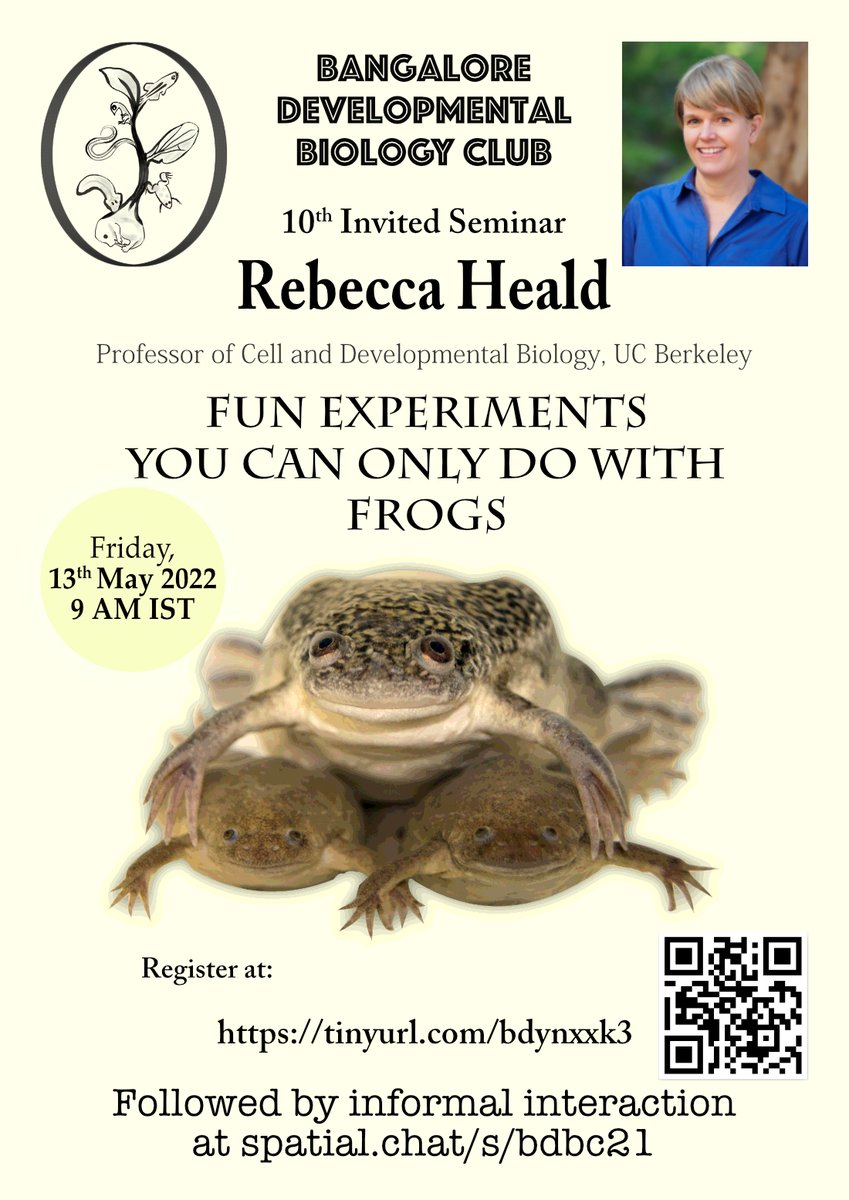 Hi everyone! BDBC is excited to have Rebecca Heald for our monthly seminar series. @rebeccaheald lab study the molecular mechanisms of spindle and nuclear size scaling. In this talk-she will be discussing the mechanisms of spindle scaling across multiple frog species. Sign up!