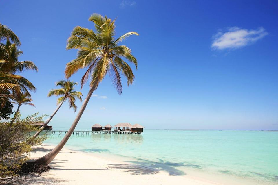 HolidayOfferMv's tweet photo. Thinking of booking a trip to the Maldives? This is the best time to go https://t.co/hmeg2CZoRu
#Maldives #Holiday #Offer #Honeymoon #Resort #Guesthouse #Beach #WaterVilla https://t.co/NhujUbZF6G