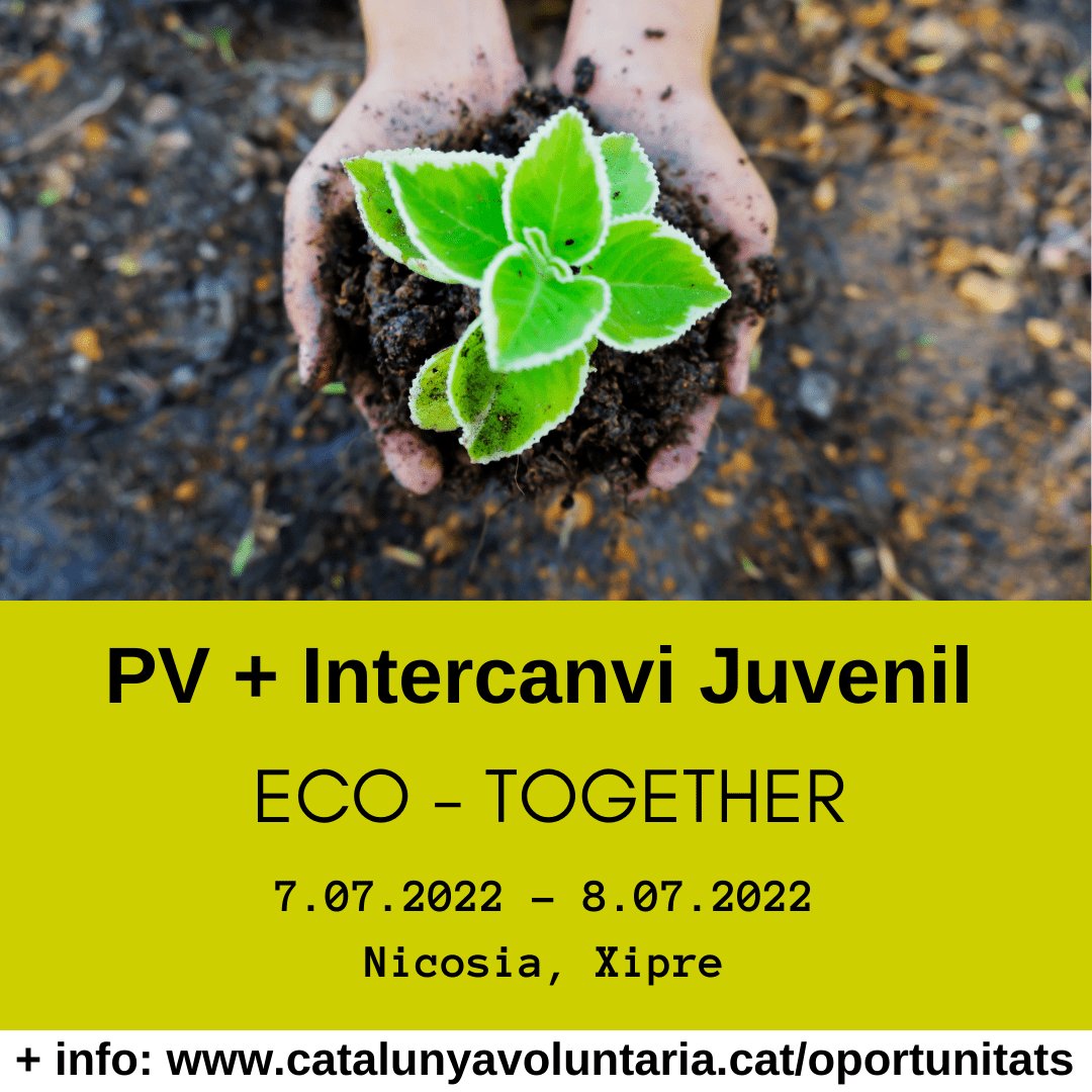 NOVES OPORTUNITATS❗

1️⃣ Gaming for learning: catalunyavoluntaria.cat/project/gaming… 
2️⃣ We Are All Storytellers: catalunyavoluntaria.cat/project/storyt…
3️⃣ ECO - TOGETHER: catalunyavoluntaria.cat/project/eco-to…