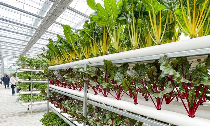 jcniyomugabo's tweet photo. If you love modern #farming in the greenhouse, like and retweet. https://t.co/18D0WCa66f