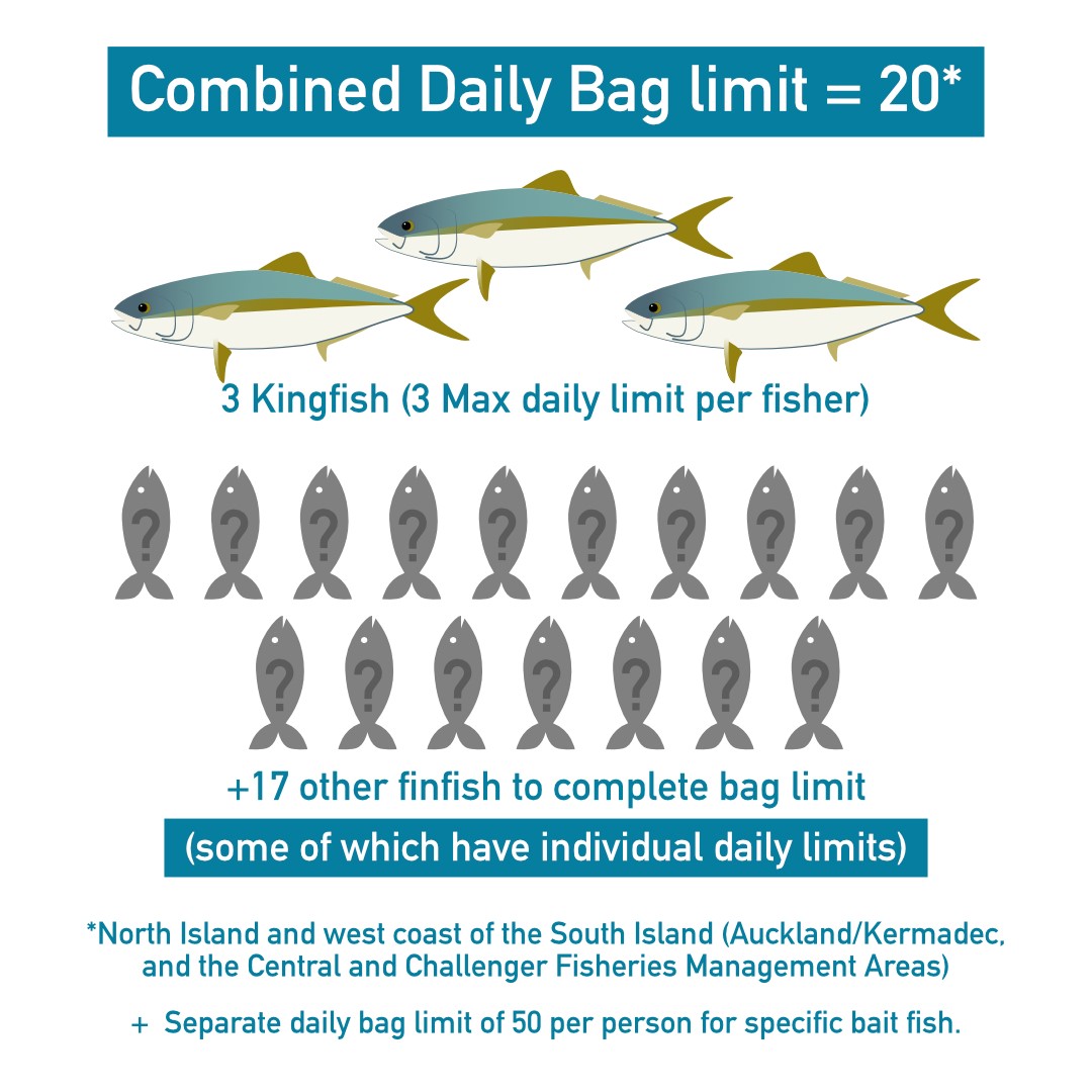 Legal Bag & Size Limits For Saltwater Species Smoky Cape N… | Flickr