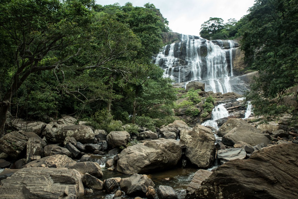 UNDPSriLanka's tweet photo. In efforts to conserve the #Knuckles Landscape &amp; mitigate threats such as encroachment, seasonal fires, illegal logging, disorganised expansion &amp; tourism, @UNDP #SriLanka's @GEF_SGP funded by @theGEF contributes to ensuring biodiversity &amp; soil conservation, &amp; promote agroecology https://t.co/dwgBogbILZ
