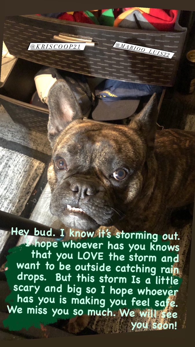 escos_stash's tweet image. Day 3 and they aren’t getting any easier.  Bring Esco Home. 
Retweet, post share anything y’all.