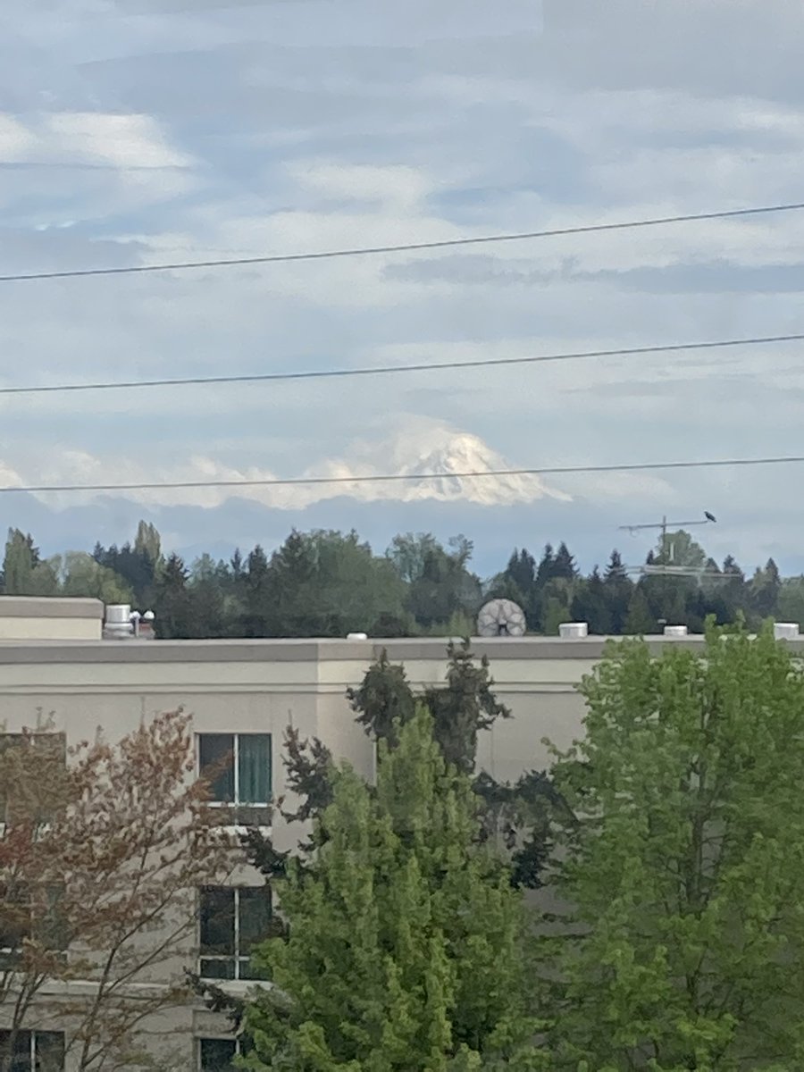 patrickhill82's tweet photo. Clear view of Rainer today! https://t.co/q1yPGAdTfh