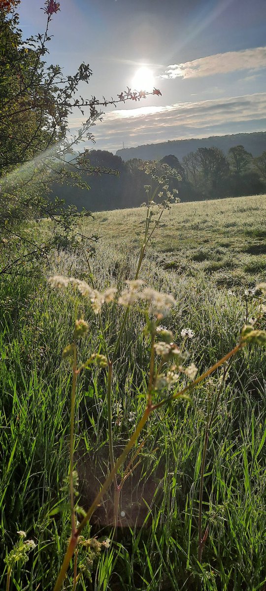 akajools's tweet image. Beautiful  Thursday  morning  from great  missenden