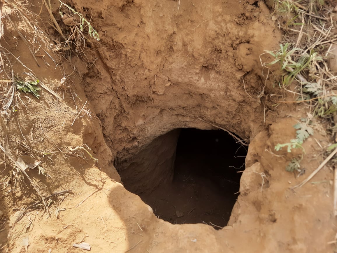 AsianetNewsSN's tweet image. ಜಮ್ಮು ಮತ್ತು ಕಾಶ್ಮೀರದ ಸಾಂಬಾ ಗಡಿಯಲ್ಲಿ ಭೂಗತ ಸುರಂಗವನ್ನು ಪತ್ತೆಹಚ್ಚಿದ ಬಿಎಸ್ಎಫ್, ಪಾಕಿಸ್ತಾನದ ಸಂಚು ವಿಫಲ
#BSF #JammuKashmir #SambaBorder #Pakistan @BSF_India @anishsingh21