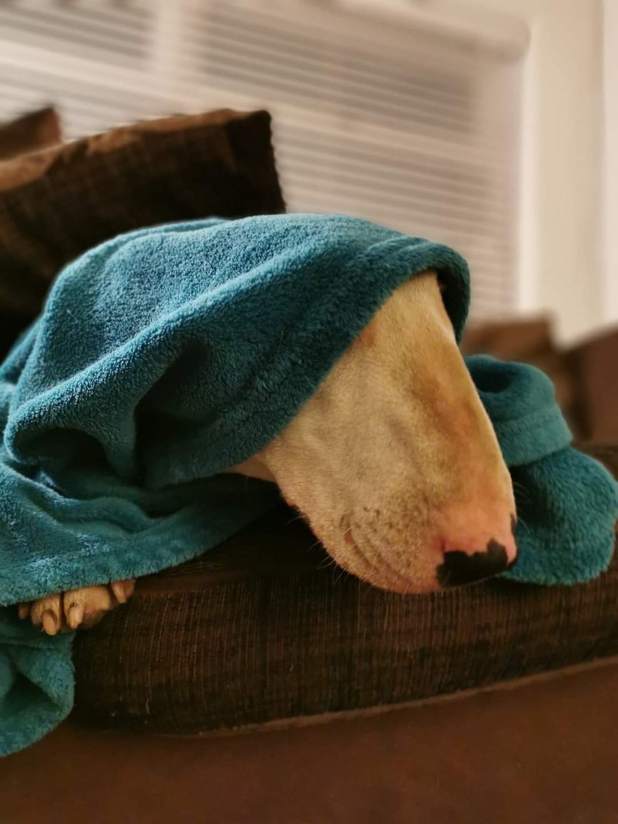 PaulMos02436367's tweet image. Revenge of the Fifth folks