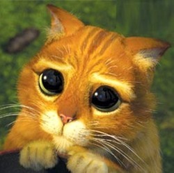 jdrlab_fr's tweet photo. @FibreTigre La mignonitude https://t.co/sycQCduJiC