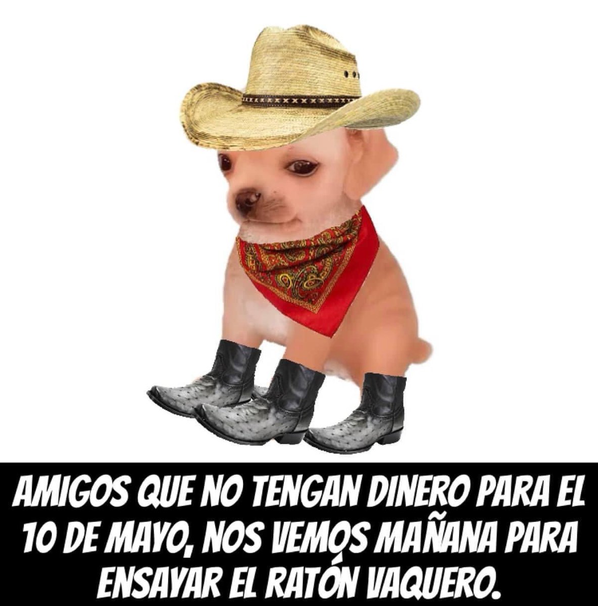 kesiperrito's tweet photo. https://t.co/DQFB9byqPX