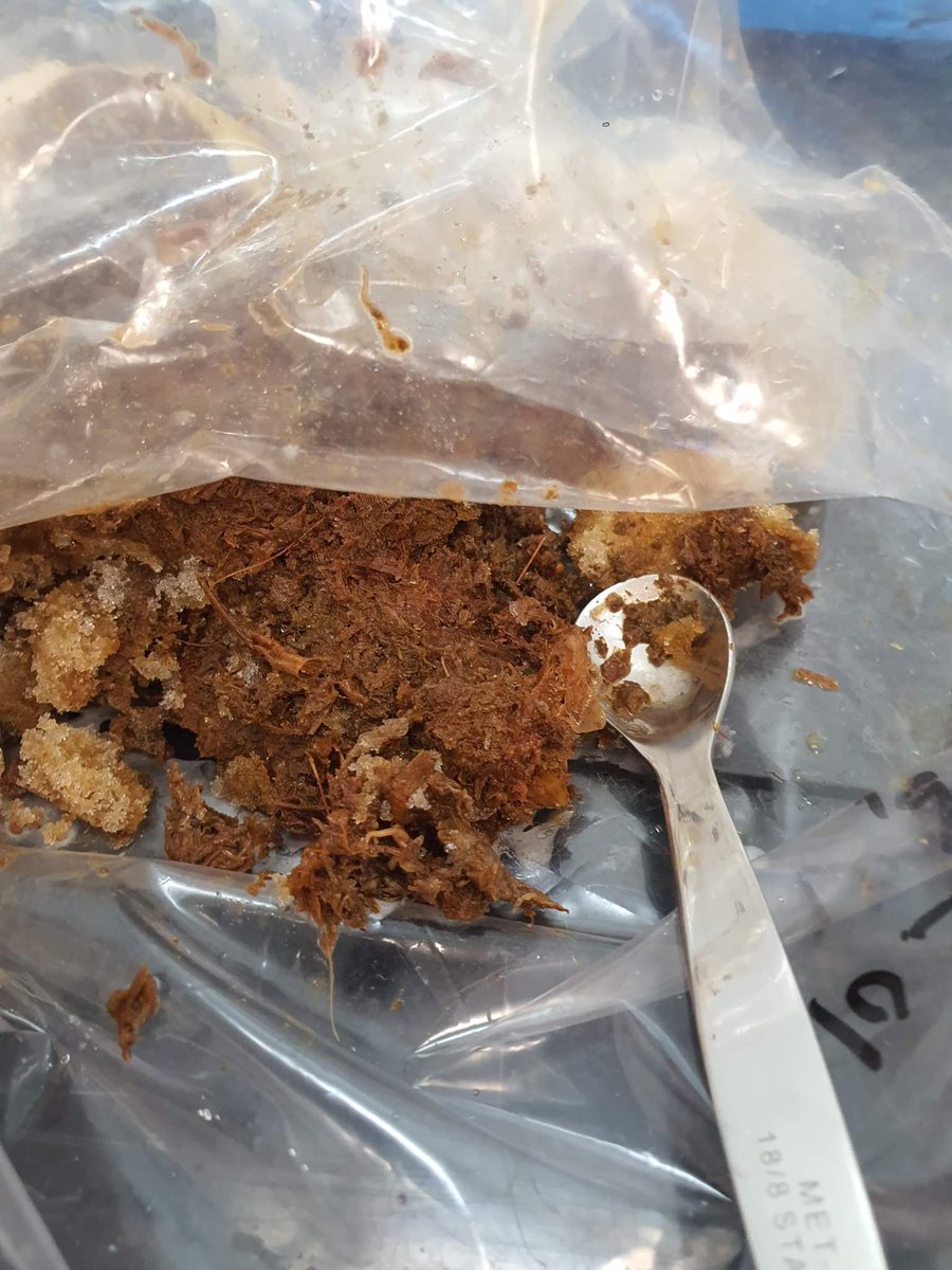 Legionary0x's tweet photo. Today I have met a Top Quality Rearcher that is analysing @sappyseals poo 💩  to bring all of us to Arfahalla.

We all are save now and going to 10Eth after this research 🌋🔥🚀

We shall all venerate @Melmelbuddy

Proof👇 https://t.co/W7C6rfFm5Q