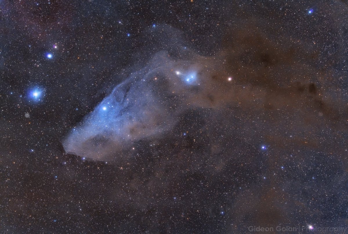 The Blue Horsehead Nebula IC4592 A faint reflection nebula in the Scorpius constellation, about 40 LY across, located some 420 LY away near the center of our MilkyWay Galaxy. #Canon 6D/WO Redcat51 - 4.1 Hrs astrob.in/4ow2it/0/ #Astrophotography #space #sciart @B_Ubiquitous