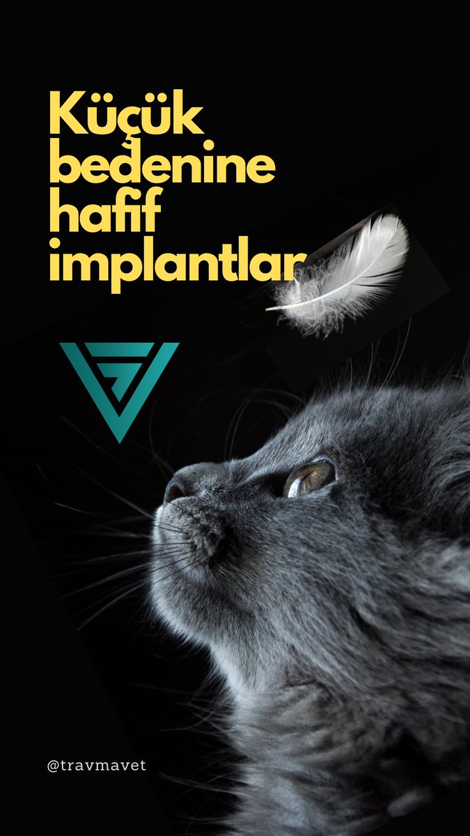 Travmavet's tweet photo. Titanyum implantlar muadili çeliğe göre daha hafif, daha sağlam ve daha biyo uyumludur: #travmavet #veterinerortopedi #veterinerhekim #veterinaryorthopaedics #vet #dvm https://t.co/83Hk0W8I7J