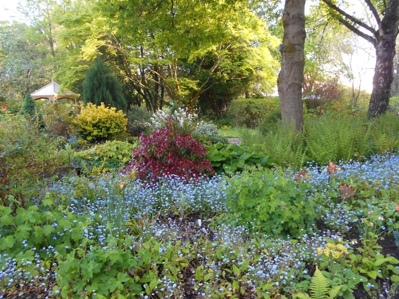Sun 8th May, Brackencote, Forshaw Heath Road, Earlswood, Solihull B94 5JU open 11- 4 Pre booking  essential for this garden please use the website link. findagarden.ngs.org.uk/garden/43378/b…
Country garden, wildflower meadow,  orchids, borders, rockery, bog garden. First NGS opening.