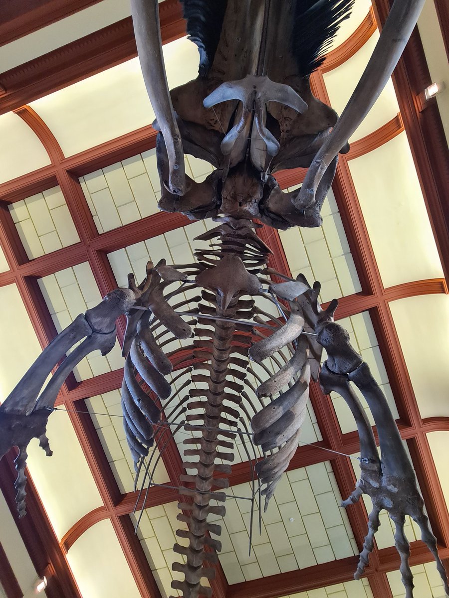 WeDeWa's tweet image. De ene conferentiezaal is de andere niet. Wauw! #SWC22