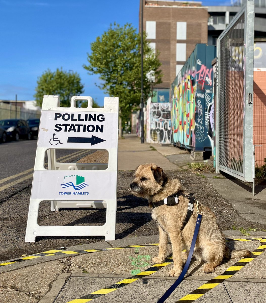 ✅ #dogsatpollingstations