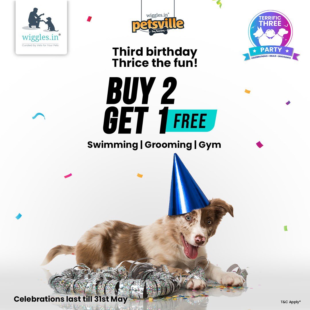 It’s our birthday, it’s our birthday and we want to pamper your furry buddies too! Go fill up your carts now! 🛒
.
.
.
#birthday #Celebration #WigglesIndia #Petcare #surprise #viral