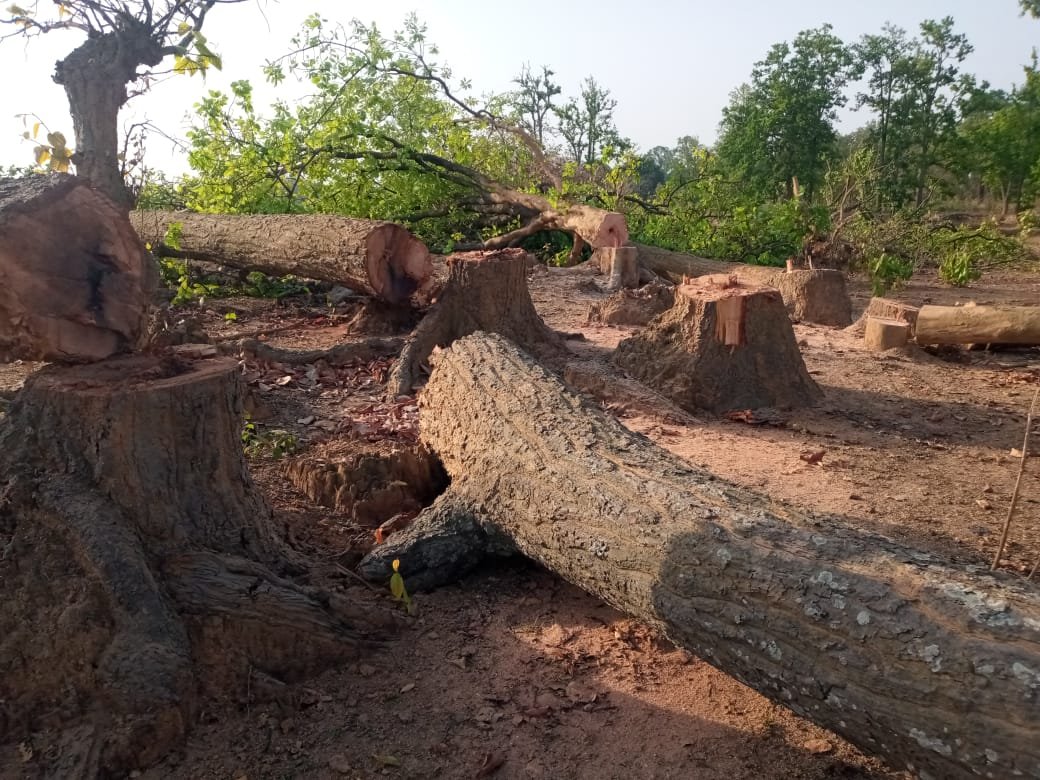 pdma_lochn's tweet photo. Mining in 841 hectares of Hasdeo forest will lead to:
1) Displacing 700 tribals who have lived in sync with nature for eons
2) Axing of 2 lakh old growth trees in one of India's most biodiversity rich forest
3) Increase in man-elephant conflict
4) Increase in #climate crisis https://t.co/zMI8nWqtqX