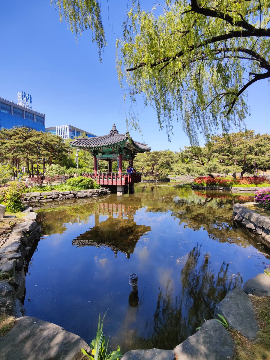 So many colors at this time of the year in Seoul. First week in #southkorea has been really good.