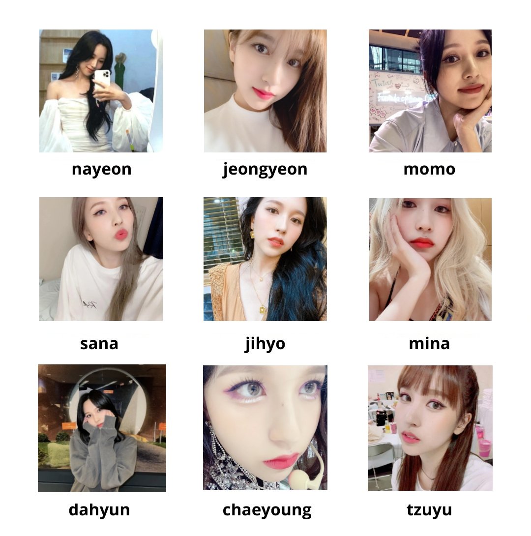 Twice Members Diagram