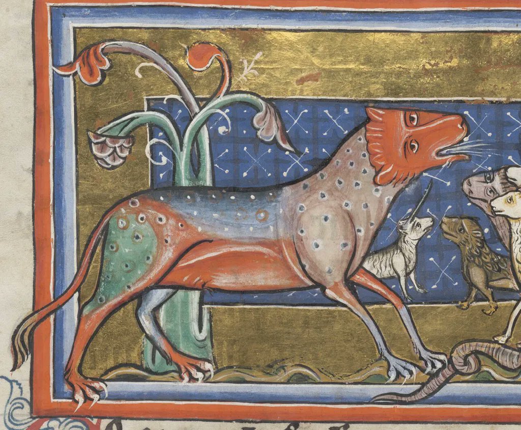 OEWordhord's tweet photo. #OldEnglish #WOTD: wundor-blēo, n.n: a wondrous colour. (WUN-dor-BLAY-oh / ˈwʌn-dɔr-ˌbleːɔ) Image: Panther in a bestiary; England, c. 1226-1250; @bodleianlibs MS. Bodley 764, f. 7v. https://t.co/nHqwdYElVh