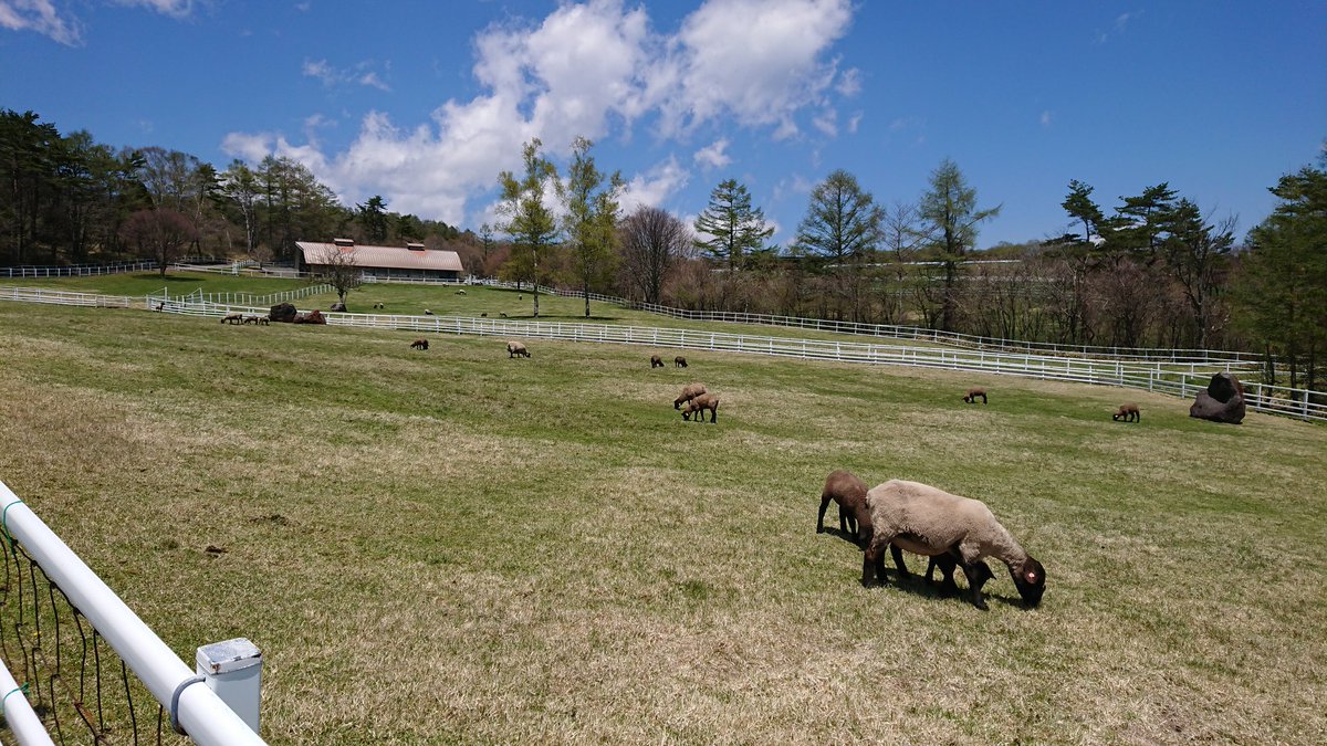 mifapoo's tweet image. 晴れてて良かったです
色々とリニューアルされてますよ@kiyosato