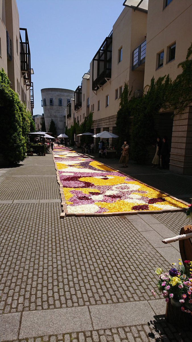 mifapoo's tweet image. 晴れてて良かったです
色々とリニューアルされてますよ@kiyosato