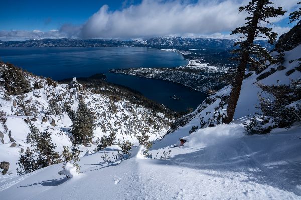 Ming Poon tweet media