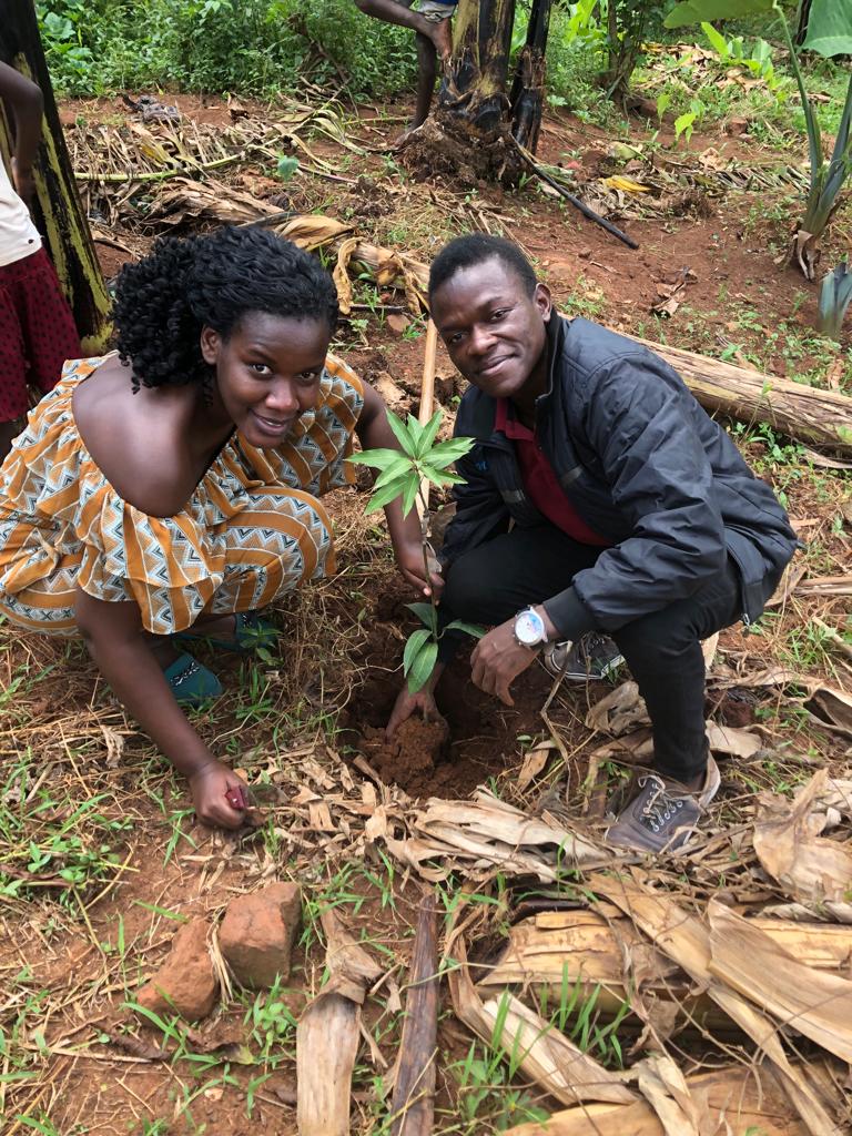 There still remains a chance to cut global emissions if the world takes steps to quickly end the burning of fossil fuels and embark on tree planting projects like #Plus1TreeProject under <a href="/eve_chantel/">Evelyn Acham</a> 
#WeDontHaveTime <a href="/WeDontHaveTime/">We Don't Have Time</a> <a href="/Riseupmovt/">Rise up Movement</a>
