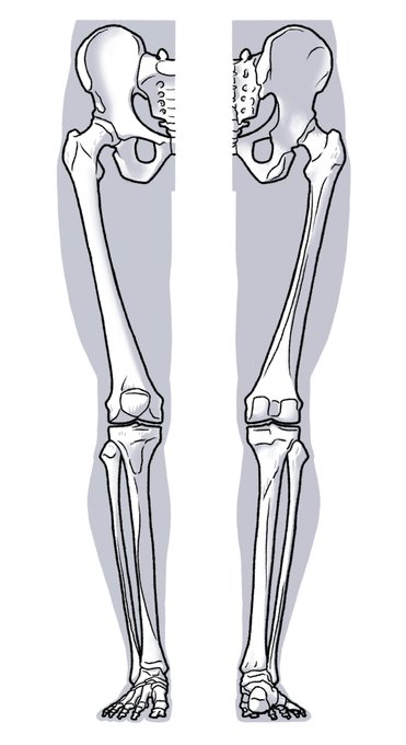 「no humans spine」 illustration images(Latest)