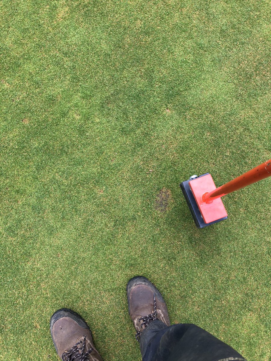 mattwhiting31's tweet photo. Little and often, light dressing done before the rain yesterday 😍. Followed by dab seeding with Crystal Blue of some old scars #greenkeeping #golf https://t.co/hhMTFAv1j7