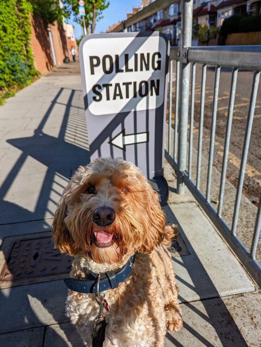 TJ doing his democratic duty this morning

#dogsatpollingstations