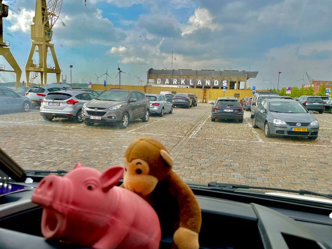#darklands …. even my monkey woke up horny this morning… the piggy was just oinking away ?

who else