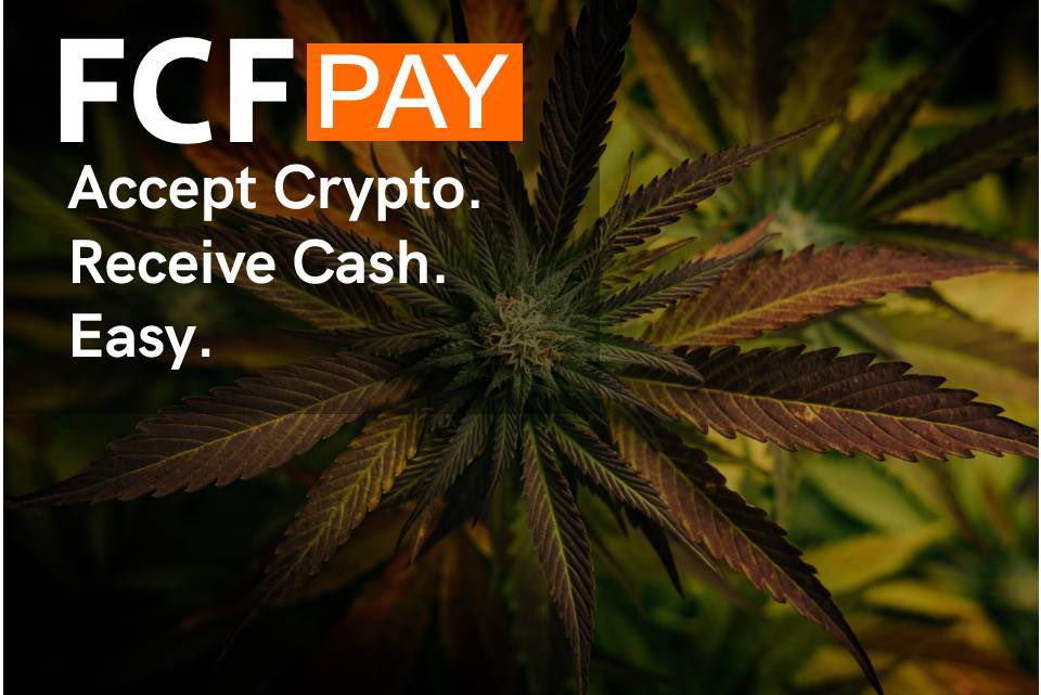 Fcfpay Accept Crypto Receive Cash Easy On Twitter Careberry India You Can Now Accept