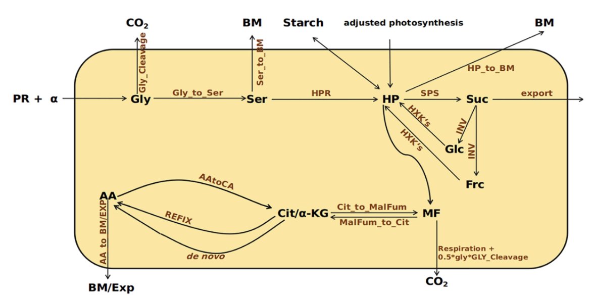 How does the rise in CO2 affect plant metabolism?

The authors show that reduced photorespiration at elevated CO2 leads to reduced  assimilation of nitrate. Metabolic modeling of acclimated and non-acclimated plants were also done. <a href="/kraemer_konrad/">Krämer Konrad</a> 

bit.ly/36iTtwe